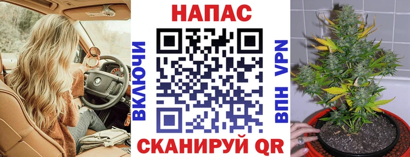 Бошки Шишки MAZAR  Макушино 